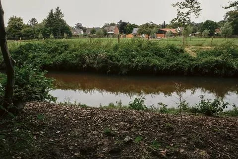 A small river meanders through the greenery of the park Stock Photos