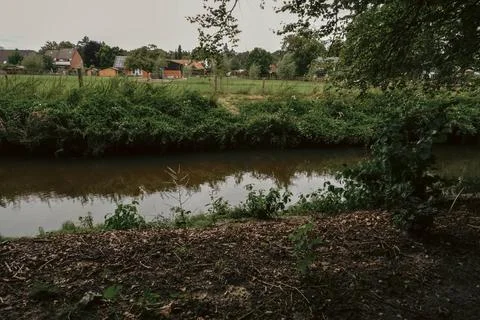 A small river meanders through the greenery of the park Stock Photos