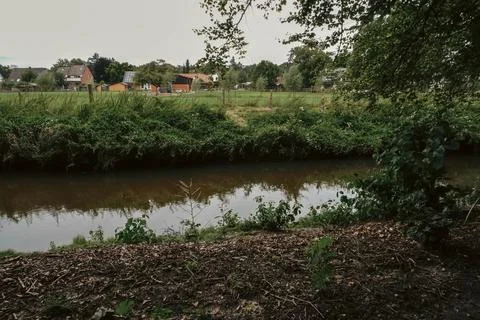 A small river meanders through the greenery of the park Stock Photos
