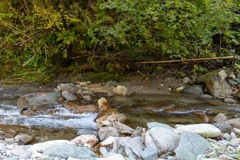 Small river mid October somewhere in Transylvania, Romania Stock Photos