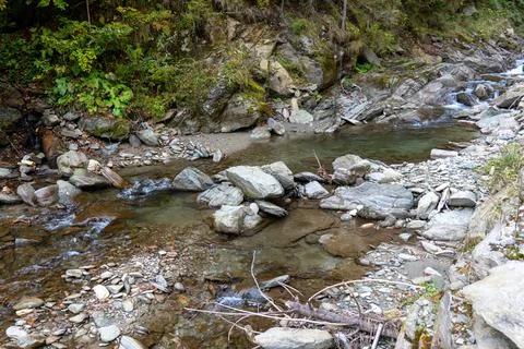 Small river mid October somewhere in Transylvania forests, Romania. Stock Photos