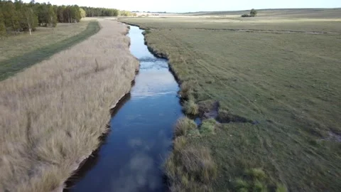 Small river in the middle of the Buenos Aires field Stock Footage 152037401