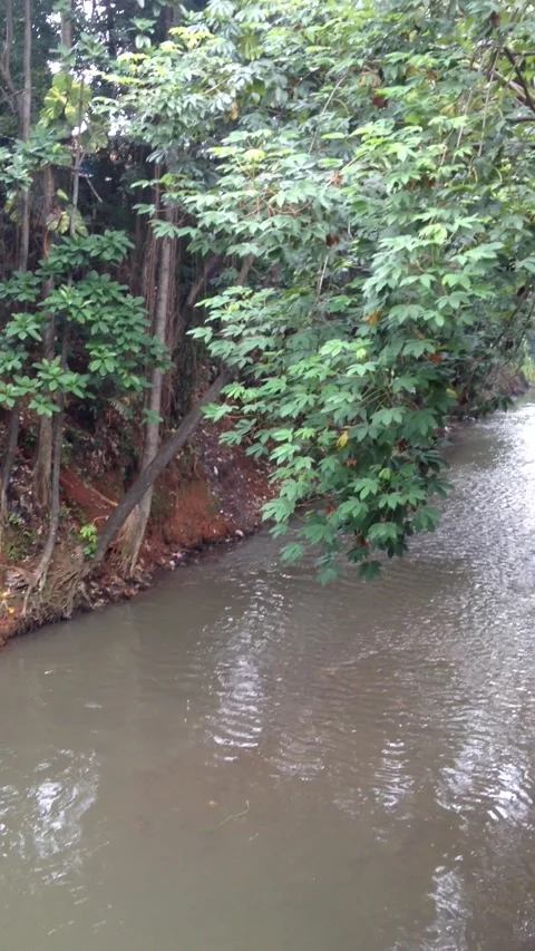 Small river in the middle of Jakarta Indonesia Stock Footage 232937995