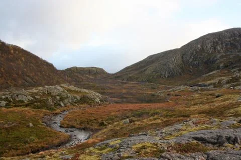 Small river in the middle of the mountains 库存照片