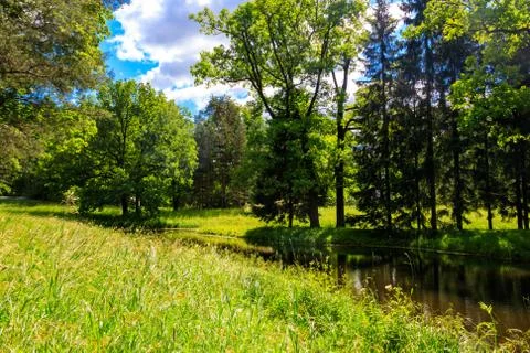 Small river in a mixed deciduous and coniferous forest in Russia Stock Photos
