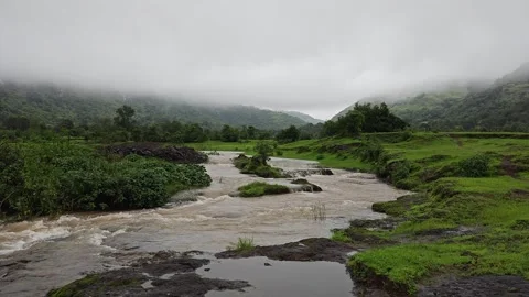 Small river in monsoon 4k Stock Footage 248374508