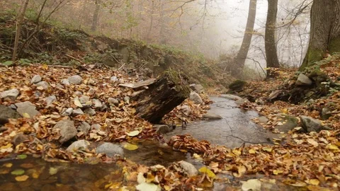 Small river in the mountain Video stock 110806621