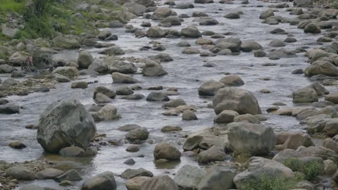 Small river in mountain Stock Footage 202006986
