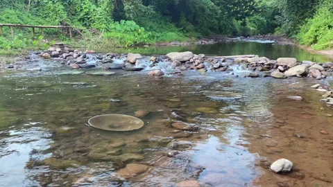 Small River in mountain Stock Footage 252122680