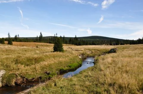 Small river in the mountain Stock Photos