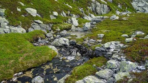 Small river in the mountain. Stock Photos