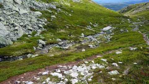 Small river in the mountain. Foto stock
