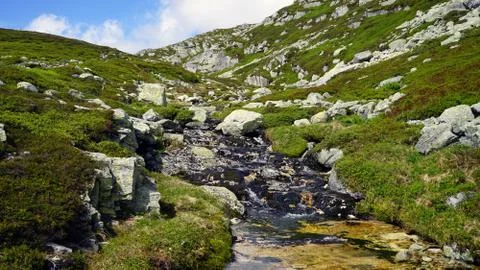 Small river in the mountain. Stock Photos