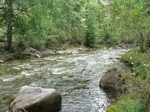 Small river in the mountains flows between rocks Stock Photos