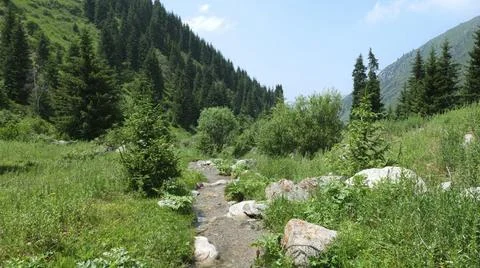 Small River in the Mountains Stock Photos