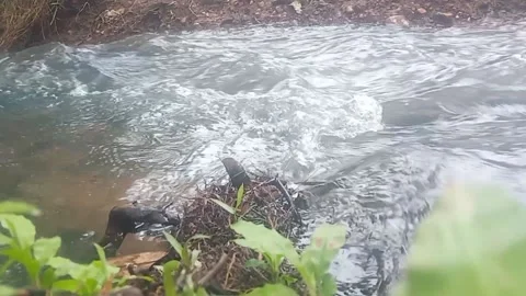 Small river naturally view. Stock Footage 221459073