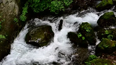 Small river in north macedonia 스톡 동영상 204874983