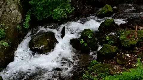 Small river in north Macedonia  스톡 동영상 204997056