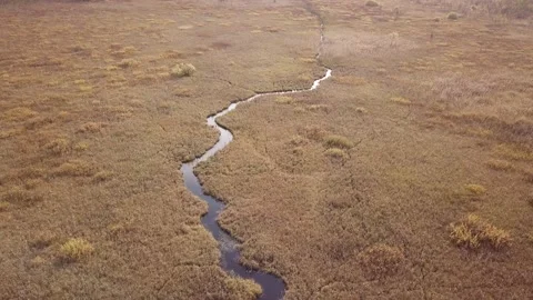 Small river at open sedge fen Stock Footage 158075700