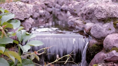 Small river or creek stream with stones Stock Footage 66112735