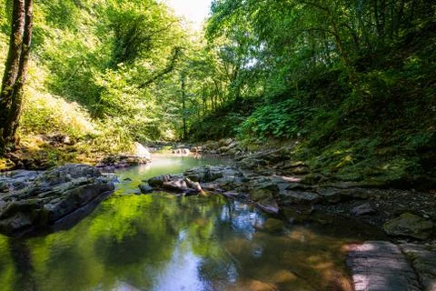 Small river or stream in deep forest Foto stock