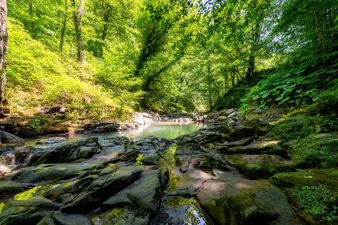 Small river or stream in deep forest Stock Photos