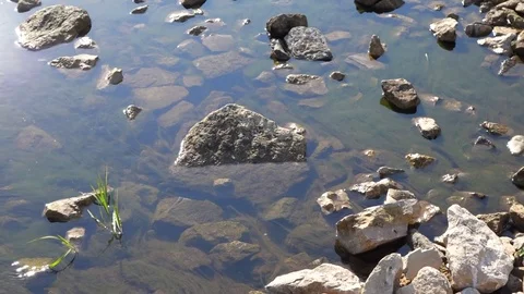 Small River Overview Stock Footage 102520450