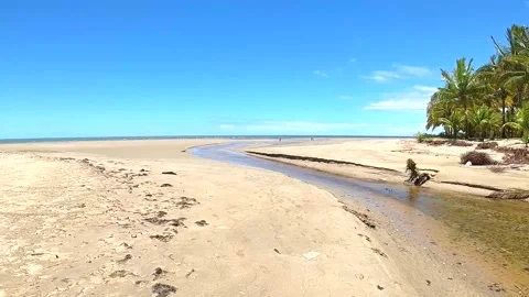 Small river palm trees and desert beach Stock Footage 176008372