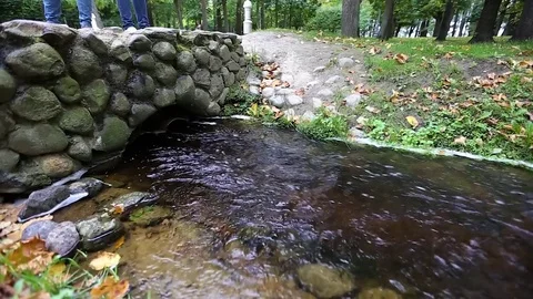 Small river in the park 스톡 동영상 79758856