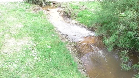 Small river in a park Stock Footage 334570542