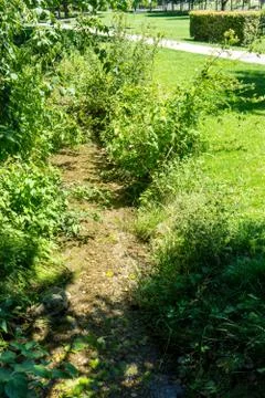 Small river in park Stock Photos