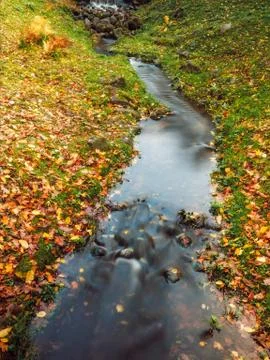 Small river in the park Stock Photos