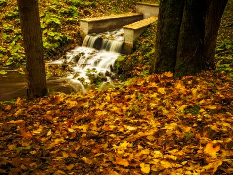 Small river in the park Stock Photos
