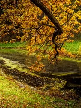 Small river in the park Stock Photos