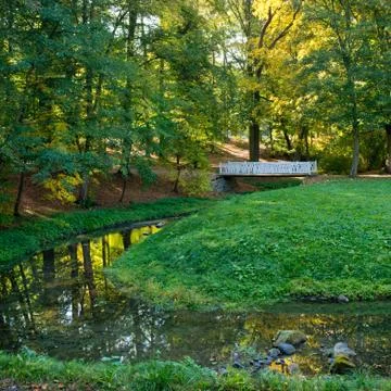 Small river in the park in the summertime. Stock Photos