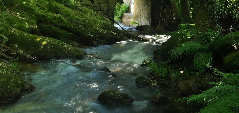 Small river that passes between rocks with moss Stock Photos