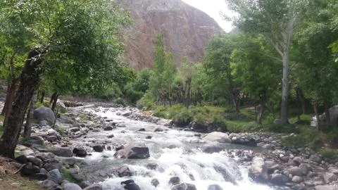 Small river passing through a forest in Ghizer Valley Stock Photos