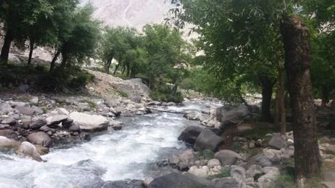 Small river passing through a forest in Ghizer Valley Stock Photos