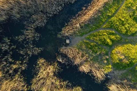 Small river. Stock Photos