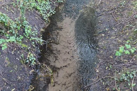 Small River Stock Photos