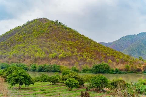 A small river. Stock Photos