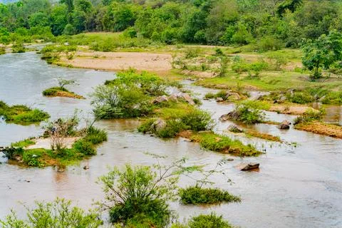 A small river. Foto stock