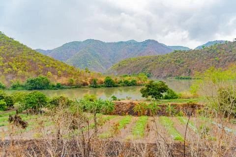 A small river. Stock Photos