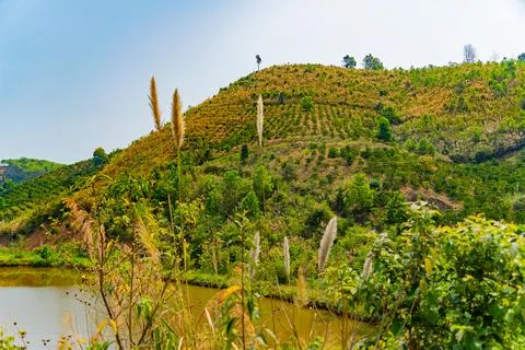 A small river. Foto stock
