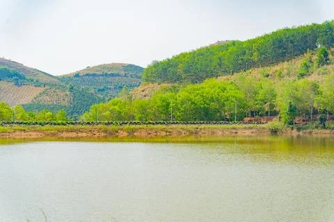 A small river. 스톡 사진