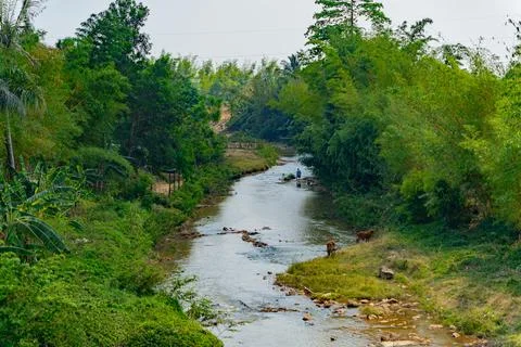 A small river. Photos