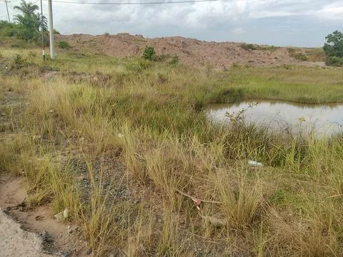 Small River Stock Photos