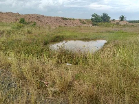 Small River Stock Photos