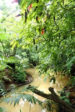 Small river Stock Photos