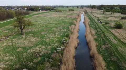 Small river in Poland Stock Footage 239734223